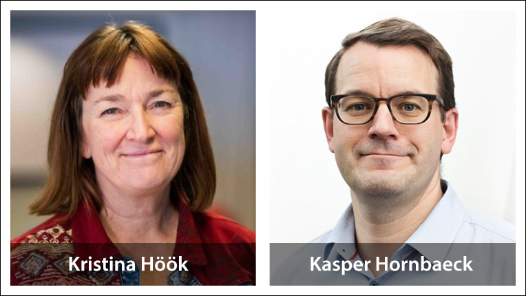 ACM TOCHI Co-EIC Kasper Hornbaeck